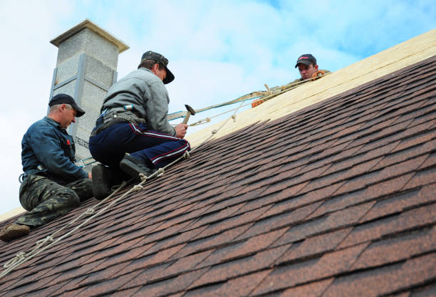 Best Roof Waterproofing Services  in Loughman, FL